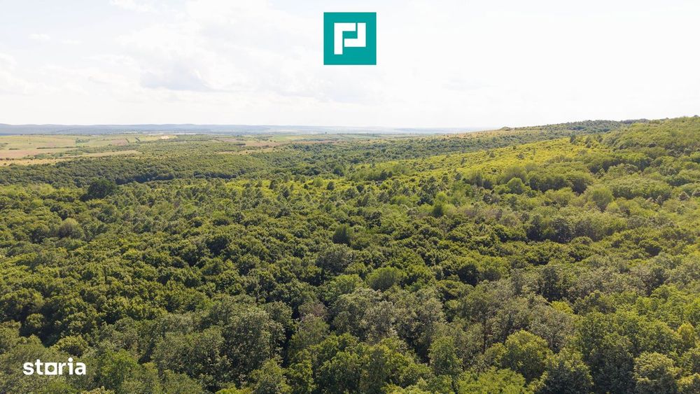 Teren Agricol Extravilan  22.900 Mp Lipova