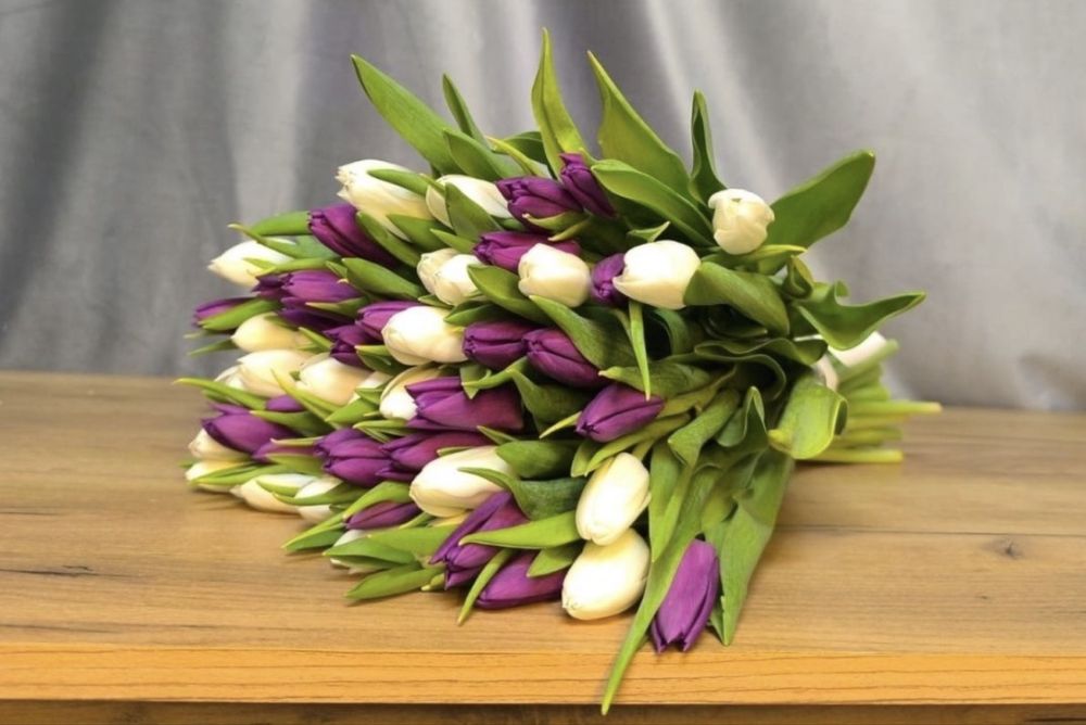 Беларусские тюльпаны 750 очень крупные