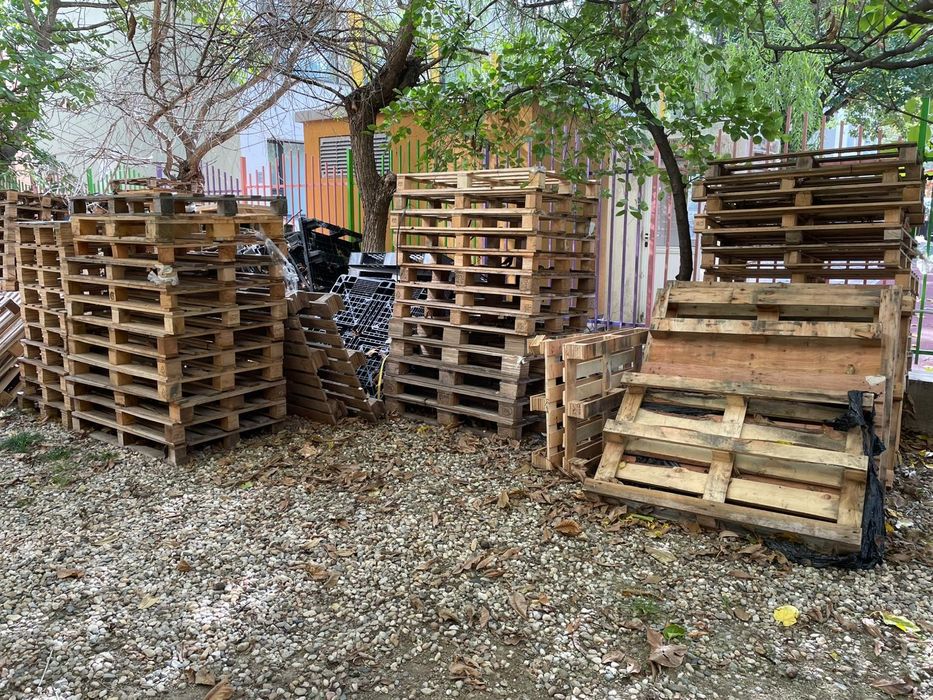 Paleti din lemn europaleti si non euro   pret bun daca se iau toti !