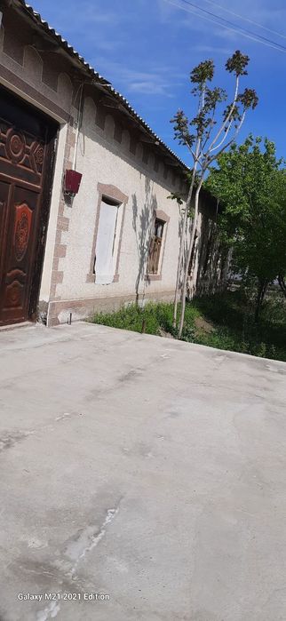 Бухоро вилояти Шофиркон тумани Дурмин махалласида 12 сотх