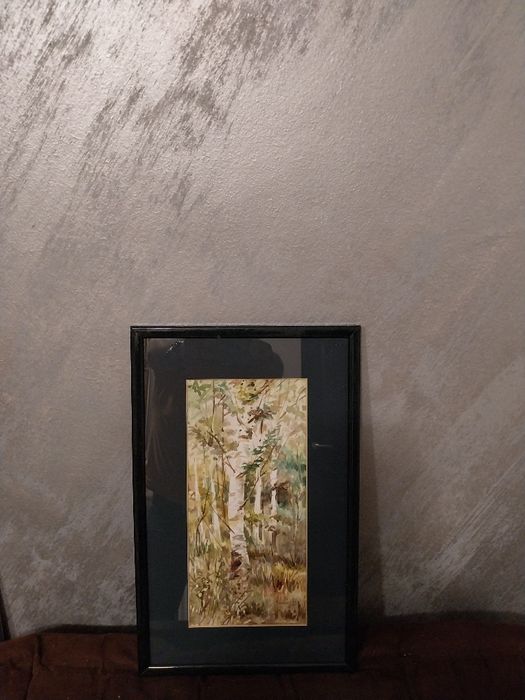 "Mesteceni" - C. VOLCINSCHI - Acuarela