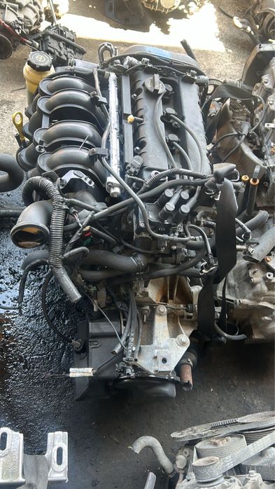 Двс Форд Фокус 1.6 ванус Бензин