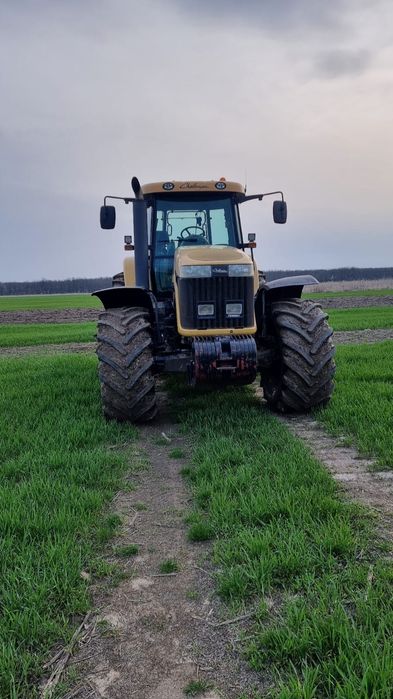 Vand tractor Challenger MT645B
An fabricație 2010