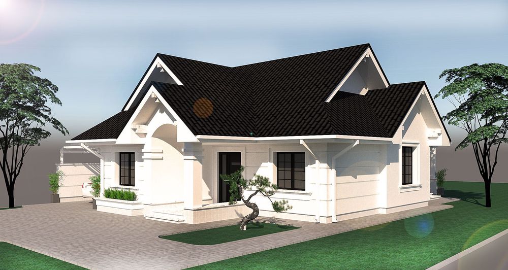 Case  și loturi de case(Bucecea)