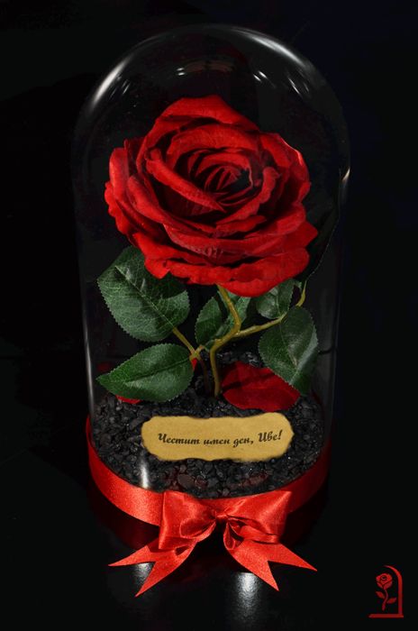Вечна Роза в ГОЛЯМА Стъкленица "Красавицата и звяра"- Подарък за Жена