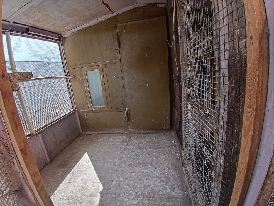 Продам голубятник