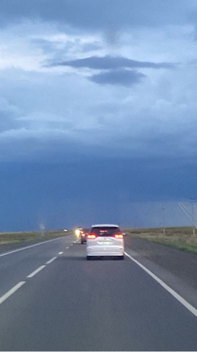 Трезвый водитель