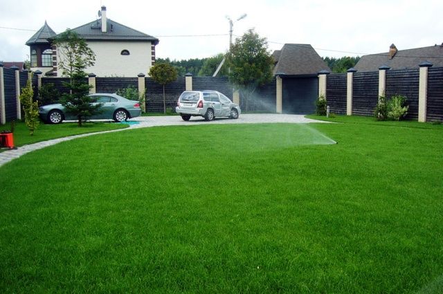 Услуги по посадке, удобрению и стрижке газона