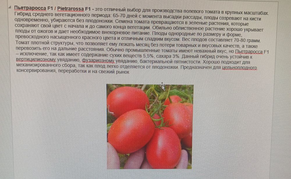 Продам семена огурцы, морковь, свёкла, помидоры