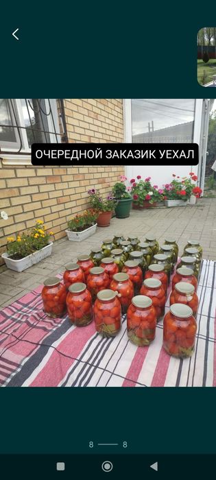 Солёные огурцы. Лучшие