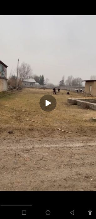 Бектемур Юлдошев