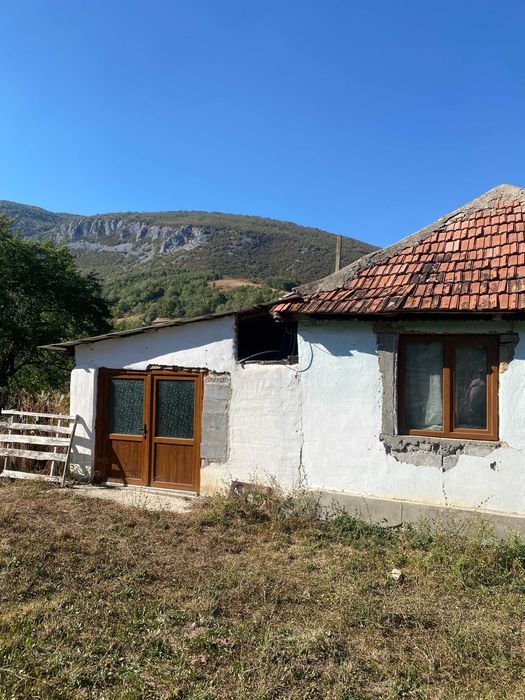 vand casa cu gradina