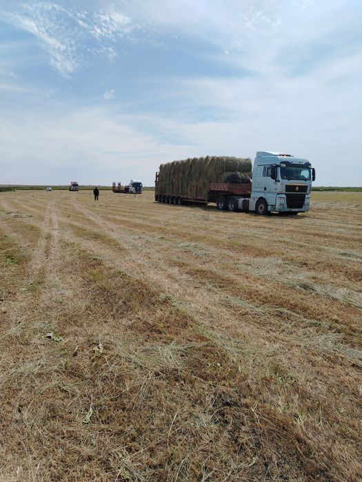 Сено лугавое 200 кг