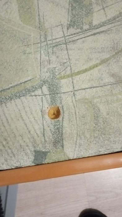 Продам угловой диван со столом