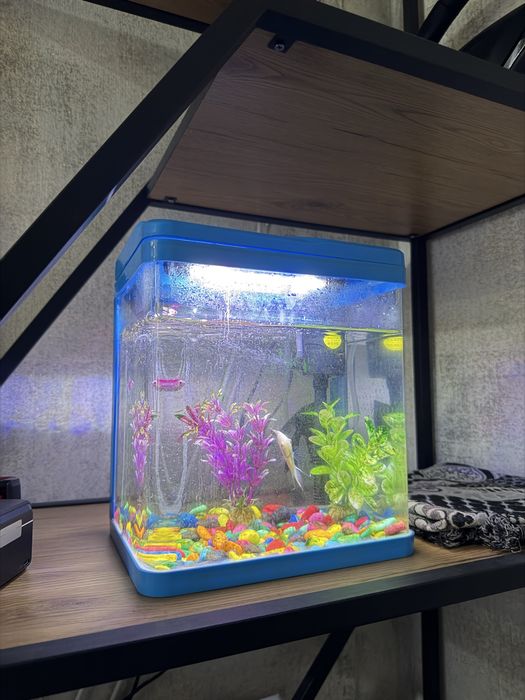 Akvarium sotiladi yaxshi holatda