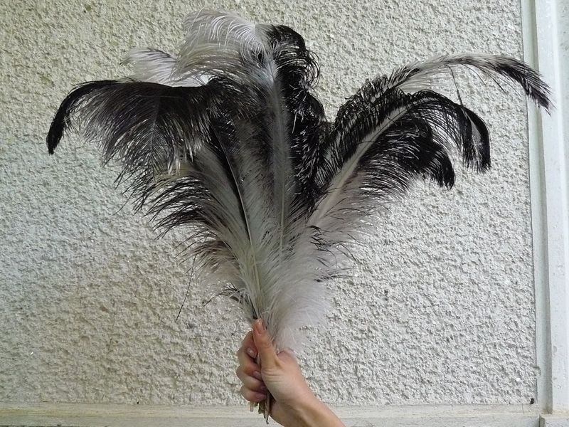 Vand Pene de strut.