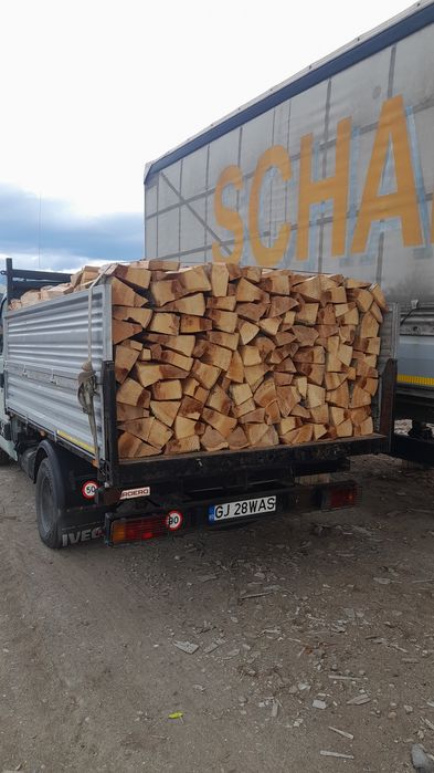 Lemne de foc fag