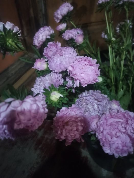 Груша местная, сладкая, сочная