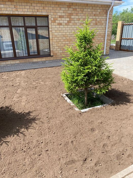 Благоустройство территории