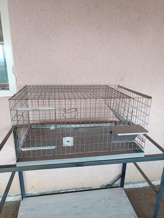 Cușcă iepuri disponibil două cuști pentru iepurași  cap de leu pitic în stare buna  se poate tine iepuri sau prepelițe
