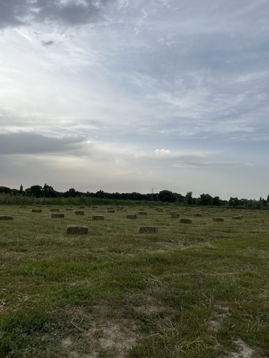 800 штук сатылады село казакстан