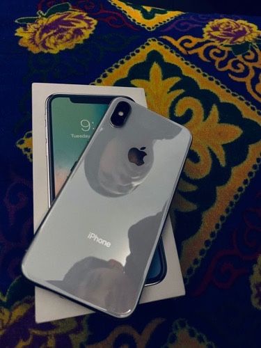 iphone x карантия