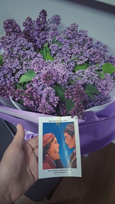 Сирень гүлі арзан бағада