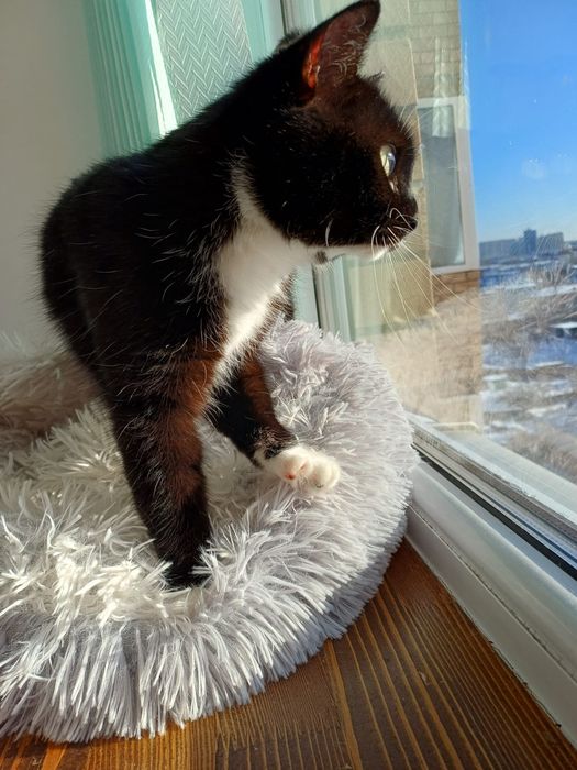 Ласковая и обаятельная мадмуазель с гарантией качества