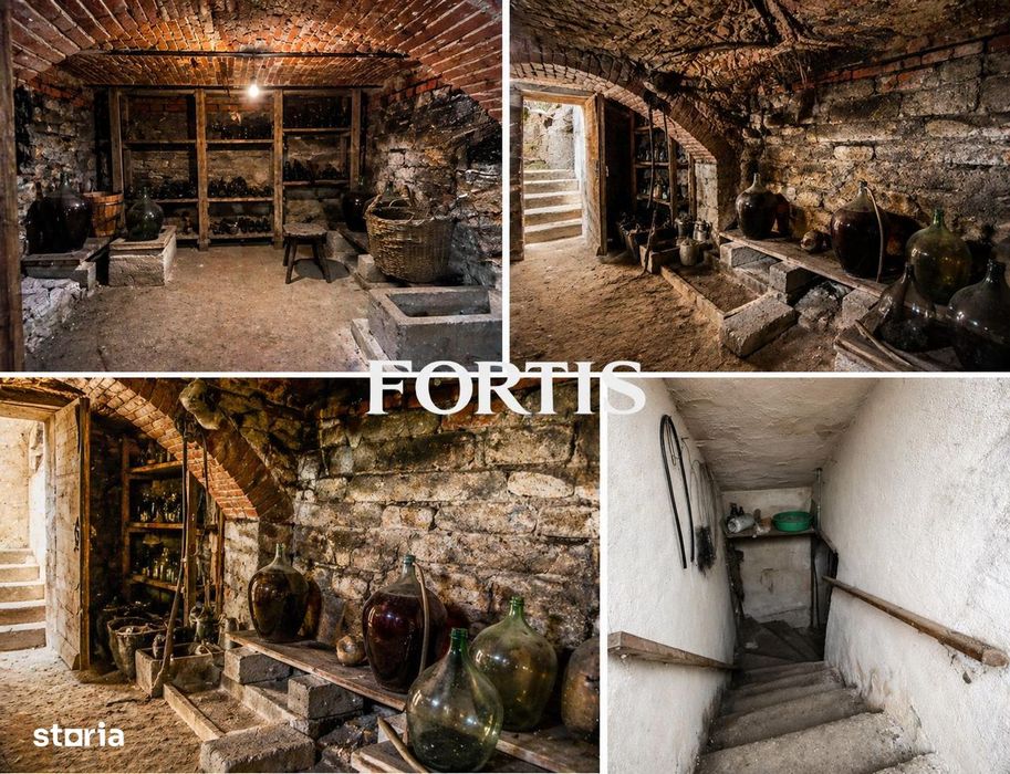 Casa de vanzare in Fagaras, zona 13 Decembrie 0% COMISION