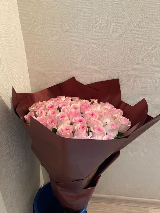 Свежие розы 51 шт