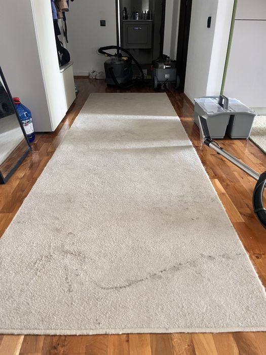 Servicii profesionale de curatenie