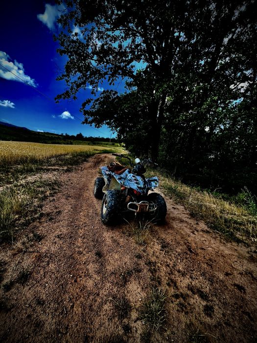 Atv 200 cc tractiune pe cardan
