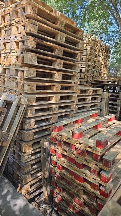 Paddon Lyoboy Razmer Bor