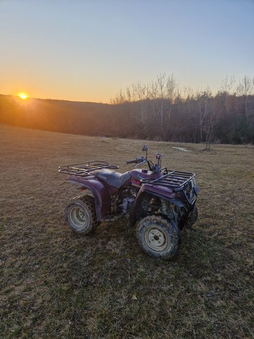Yamaha Timberwolf 4x4