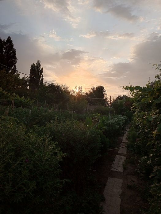 Уютный дом 7 соток Каратау