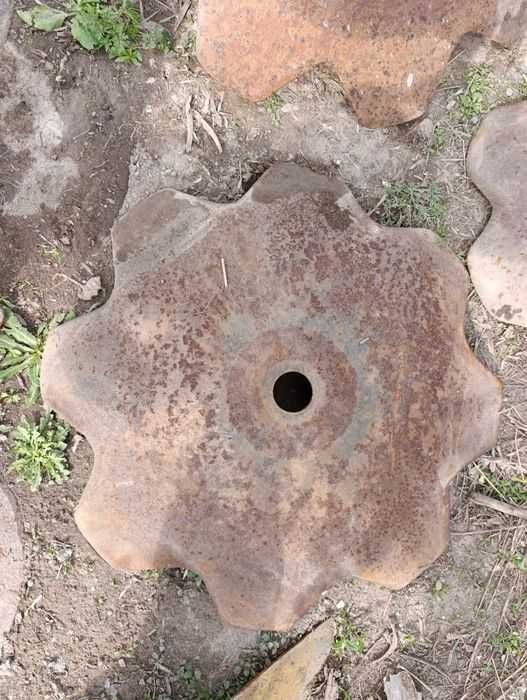 Диски  ромашка на БДТ (дисковая борона)