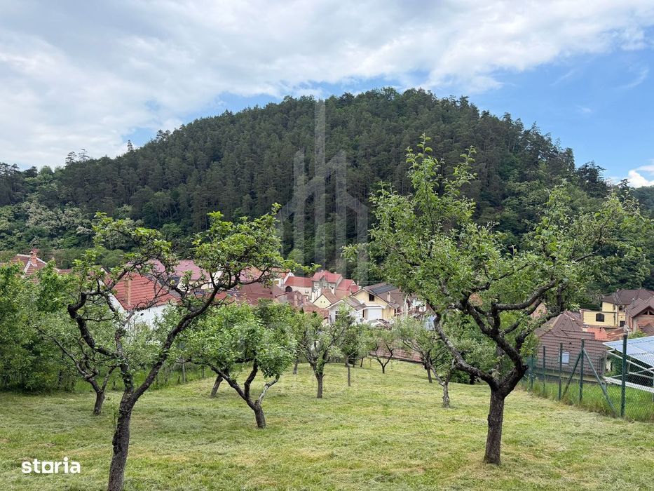 Casă rustică de vânzare în Tilișca, (Marginimea Sibiului)