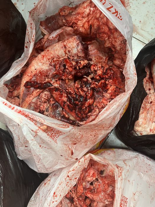 Обрезки для собак