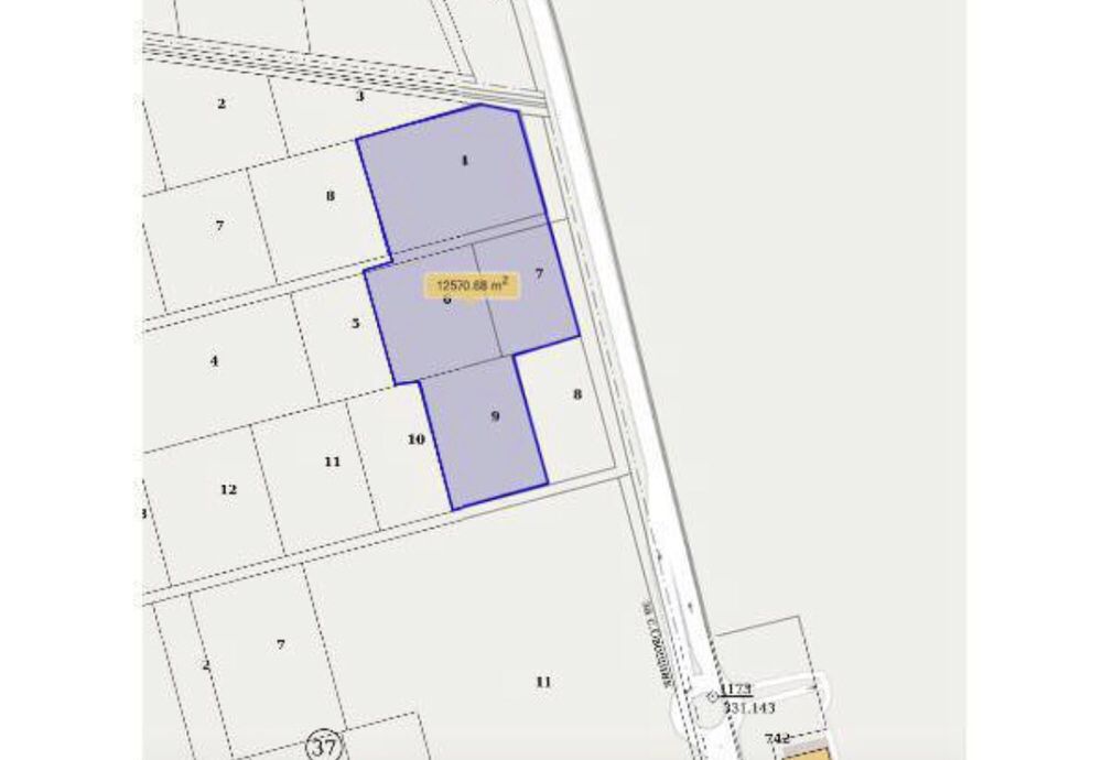 Продава се Парцел в Велинград - 20000 кв.м за 3 €/кв.м - Снимка #4