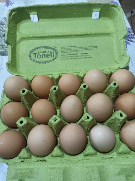 Ouă de găină bio