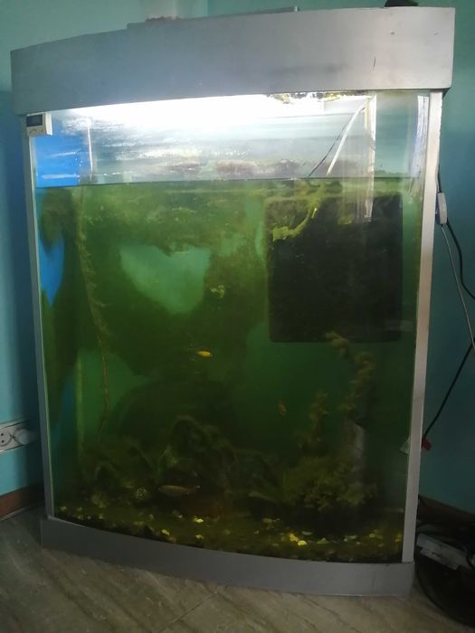 Продам напольный аквариум