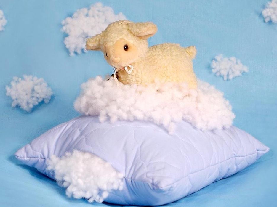 Xalafaybr sintapon 26000kg