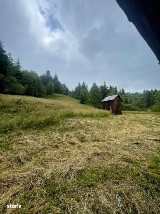 Cabana de vacanta, 60 mp, teren generos de 83 ari, zona Borsa, Maramur