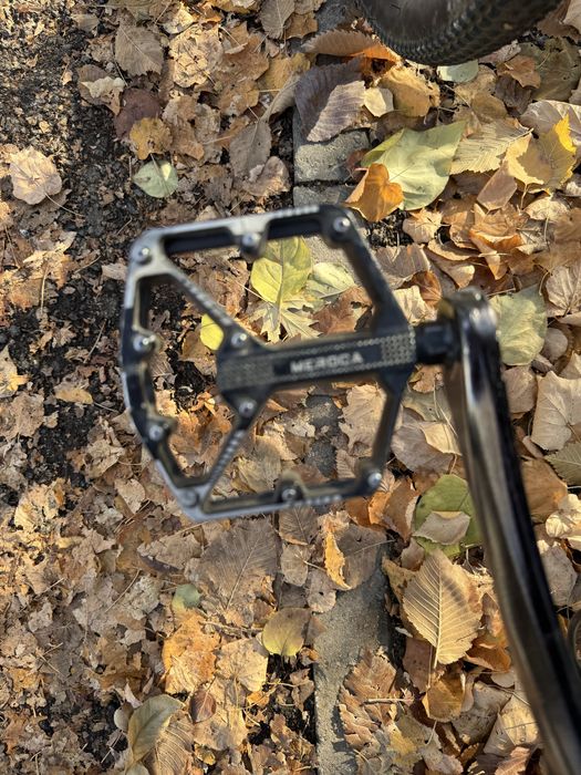 Alpha mustang RockShox