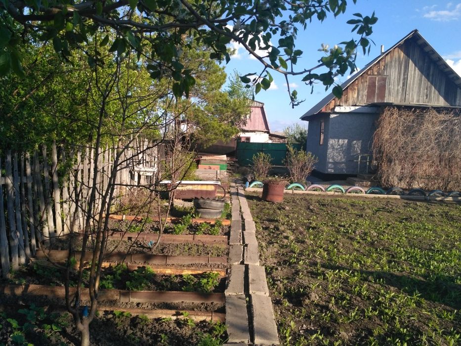 Сдам дачу в аренду