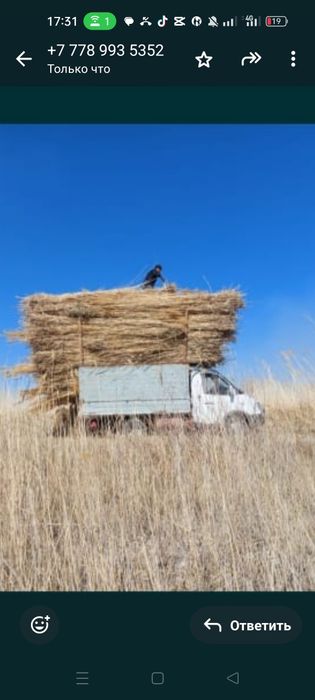 Камыс сатылады ы