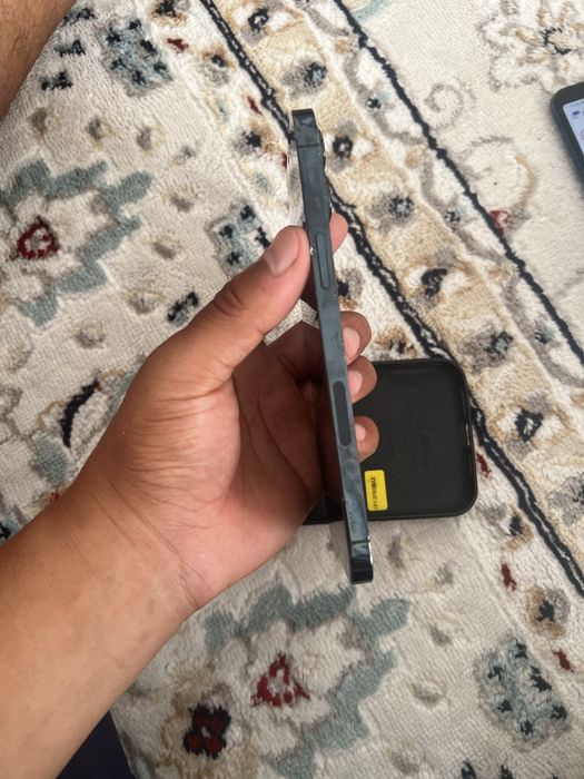 12 pro max 256gb