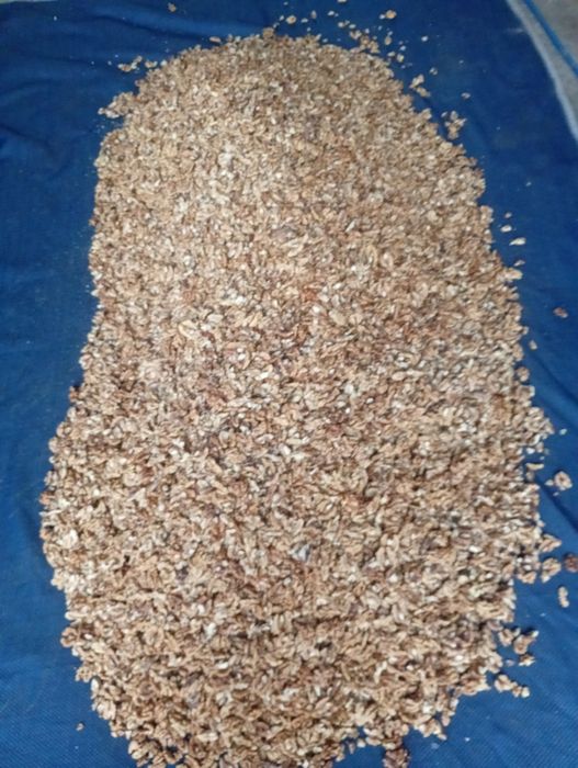 Vand miez de nuca (32lei) și nuci (5,50 lei)