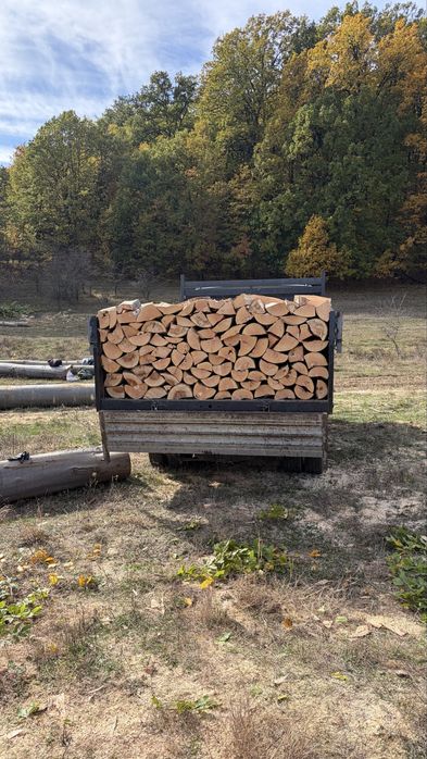 Lemne pentru foc