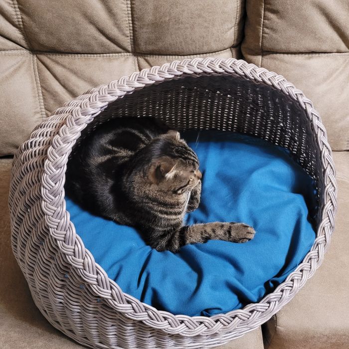 Лежанка для животных